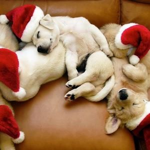 Meet your Posher, Hey